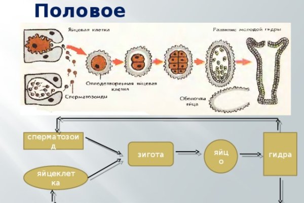 Что такое кракен тор