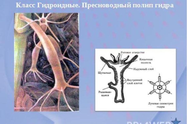 Кракен официальный сайт